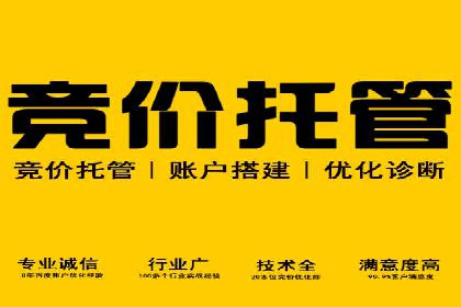 百度推广竞价效果评估：一则旅游行业的成功故事